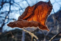 20161231_114606