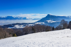 La Dent Du Loup