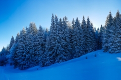 20170119_143851