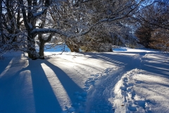 20170119_154218
