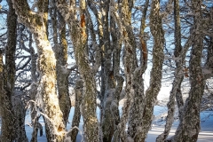 20170119_154628