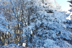 20170119_154725