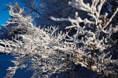 20170119_155028
